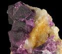 Dark Purple Cubic Fluorite on Quartz - China #94305-1